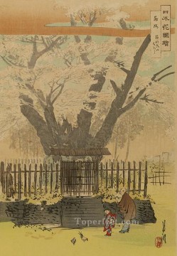 尾形月耕 Painting - 日本花図会 1896 1 尾形月光浮世絵